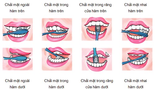 Vệ sinh răng miệng 3