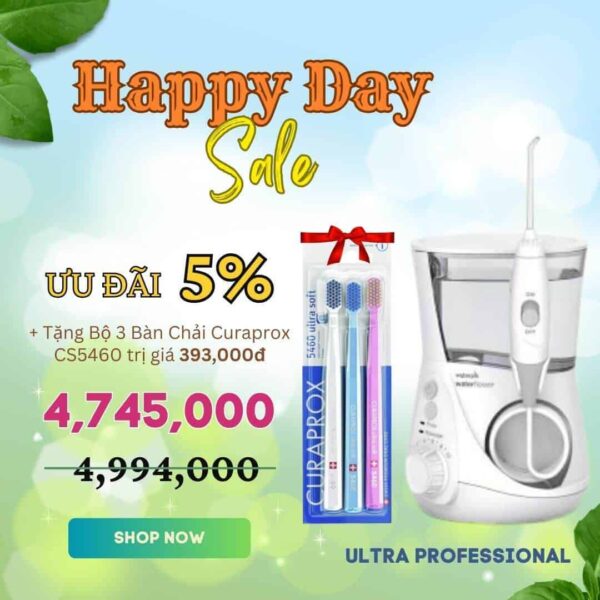 Waterpik Ultra Professional WP 660